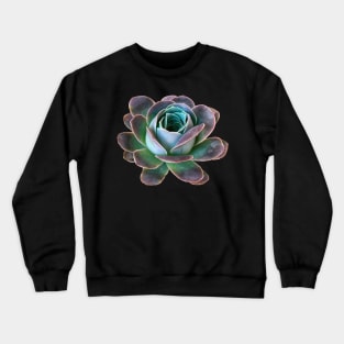 Aeonium diplocyclum Greenovia Crewneck Sweatshirt